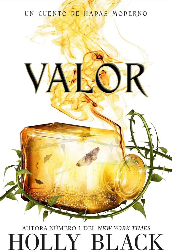 VALOR - HOLLY BLACK