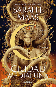 CASA DE FLAMA Y SOMBRA - SARAH J MAAS